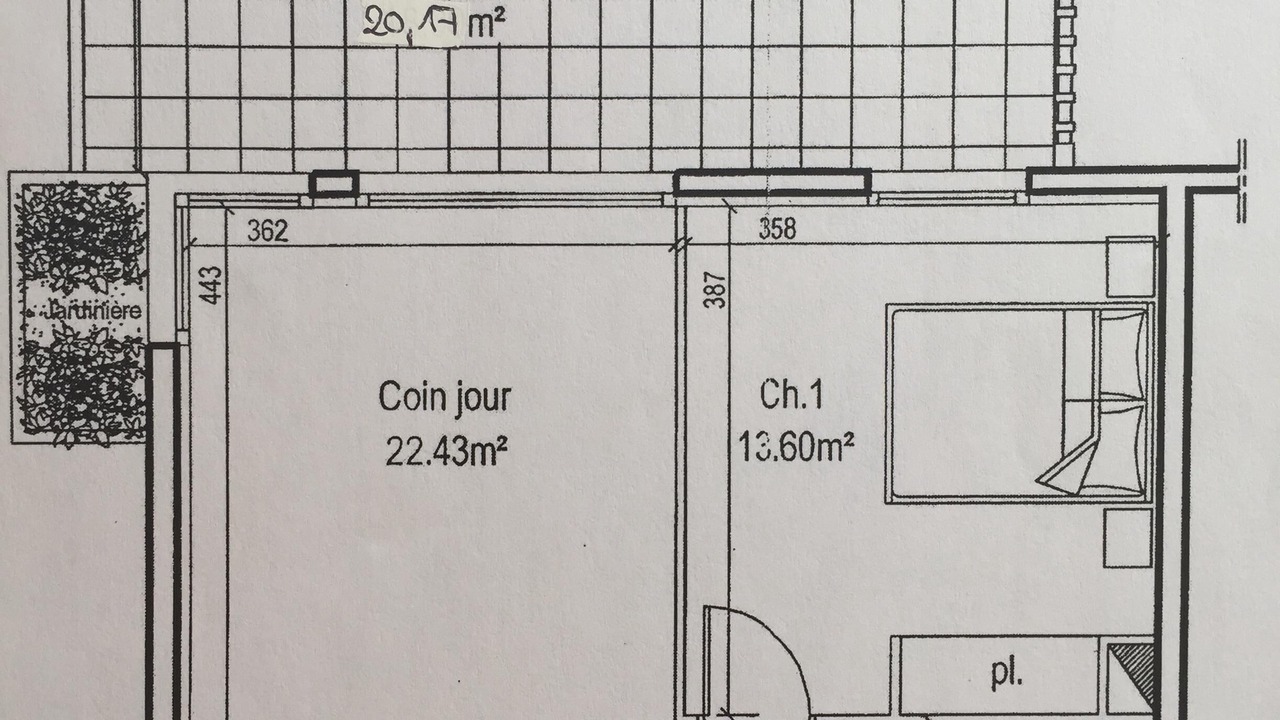 Photo of Others in Calvi