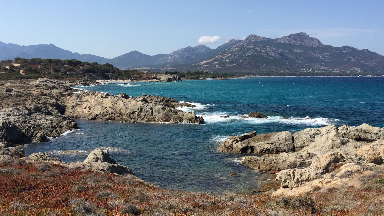 Photo of Others in Calvi