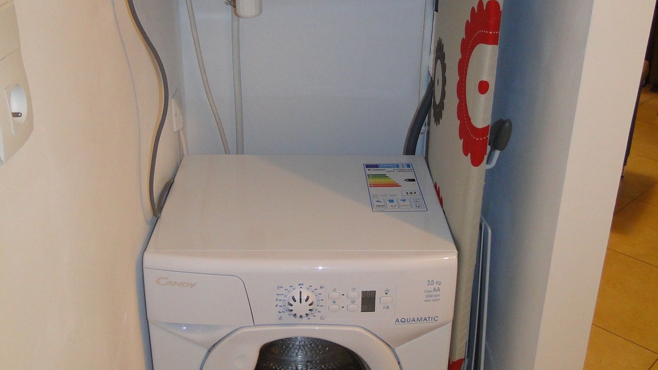 Photo of Others in Calvi