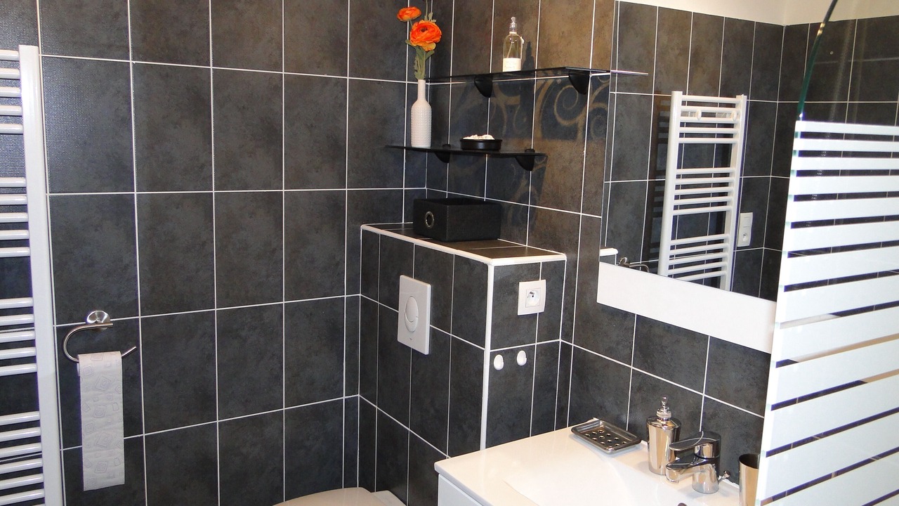 Photo of Bathroom in Calvi