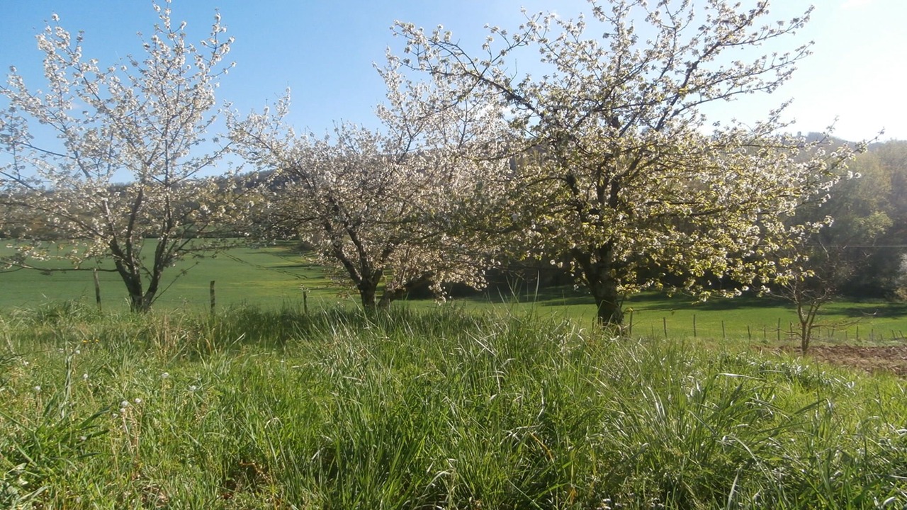 Photo of Outdoor in Lauzerte