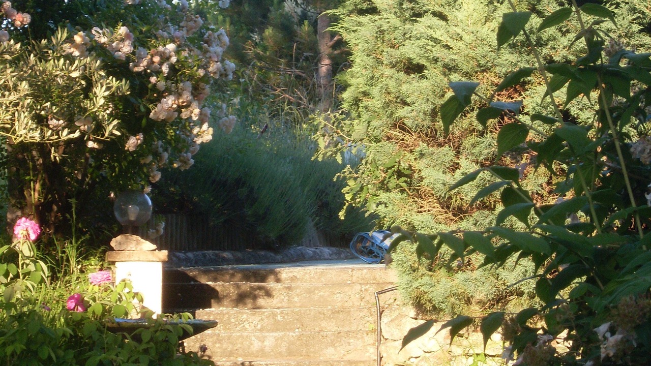 Photo of Outdoor in Lauzerte