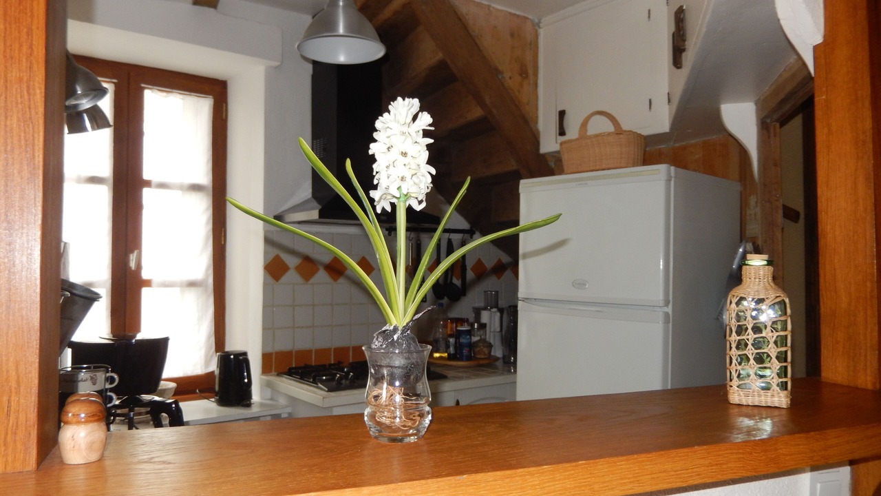 Photo of Kitchen in Espeyrac