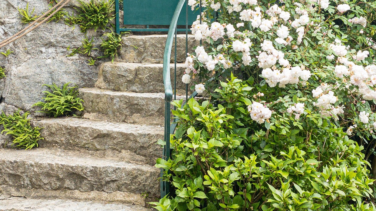 Photo of Outdoor in Cauterets