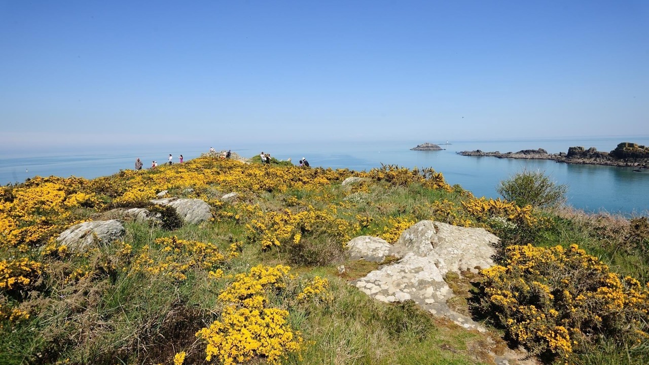 Photo of Others in Cancale