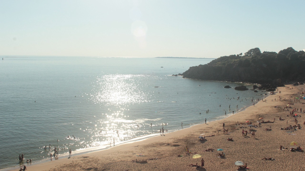 Photo of Others in Saint-Marc-sur-Mer