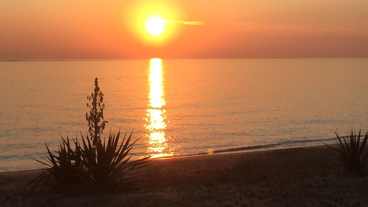 Photo of Others in Saint-Marc-sur-Mer