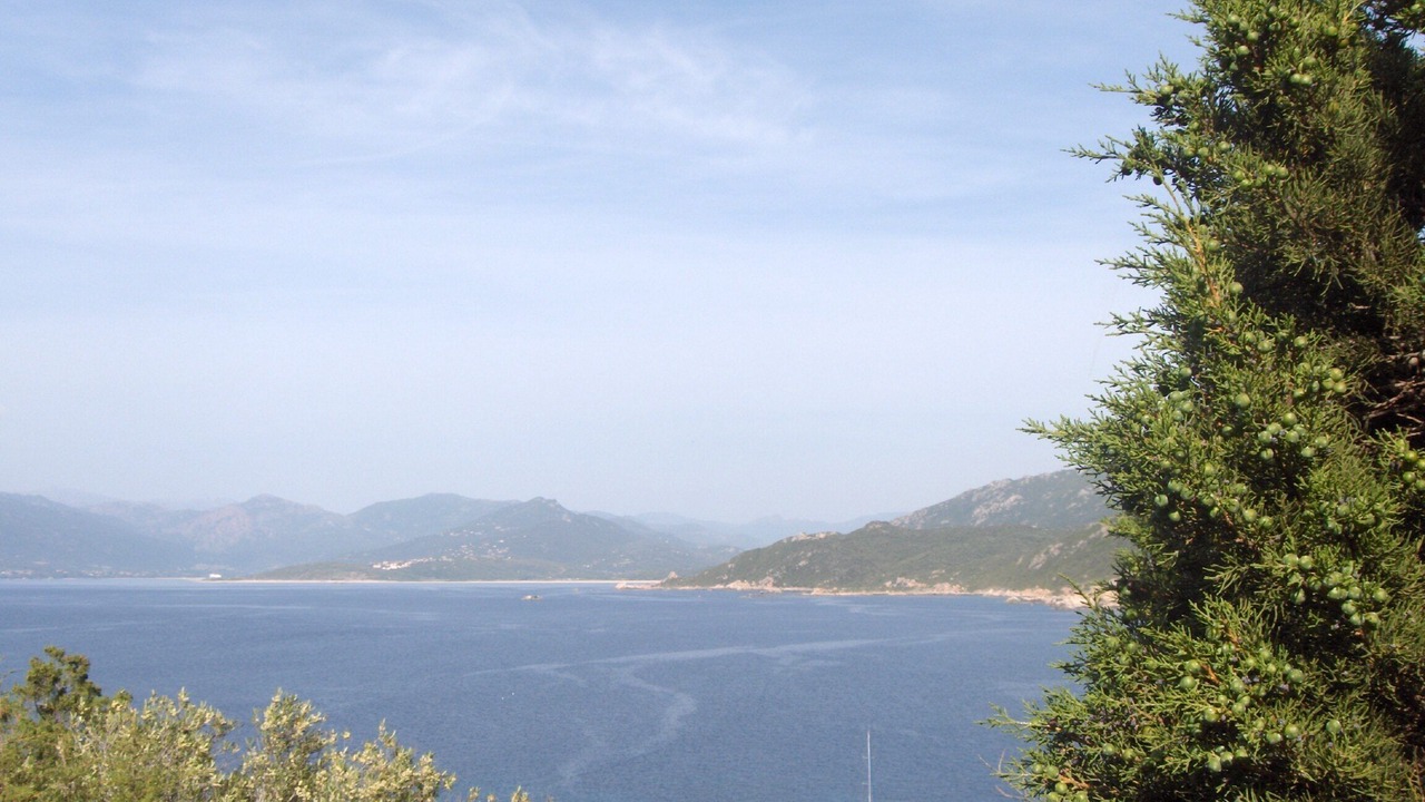 Photo of Others in Propriano