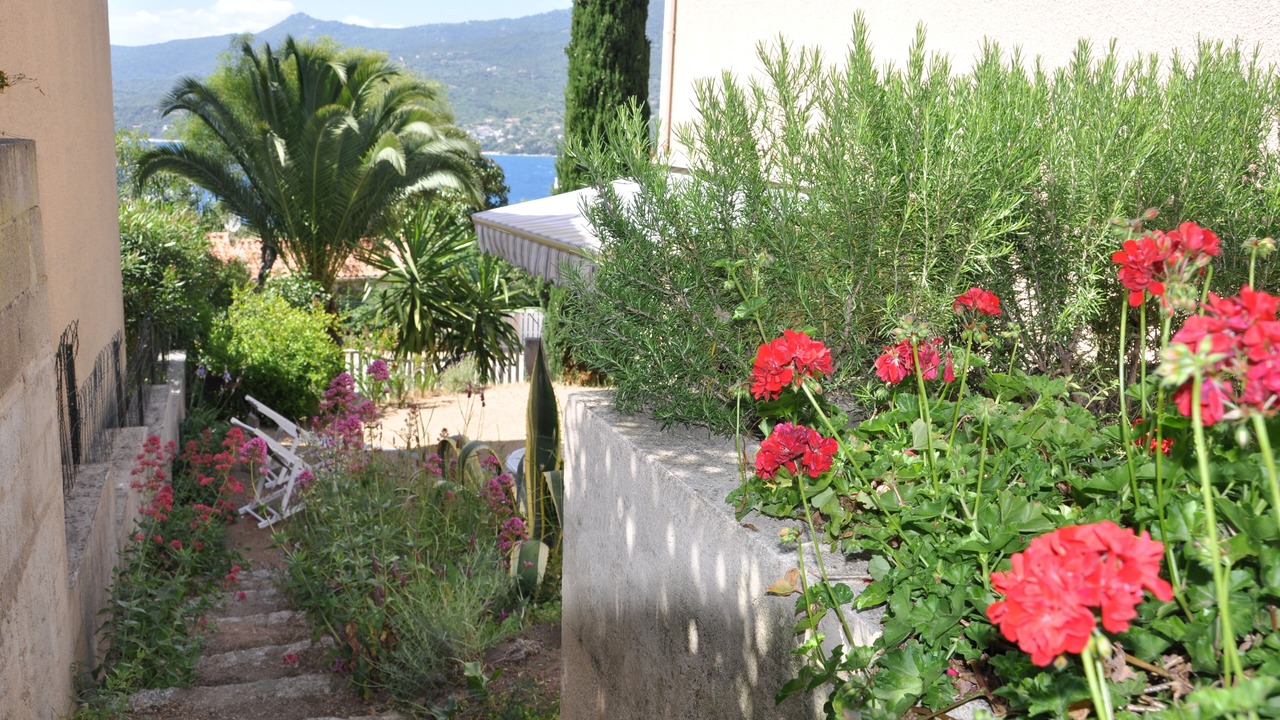 Photo of Outdoor in Propriano