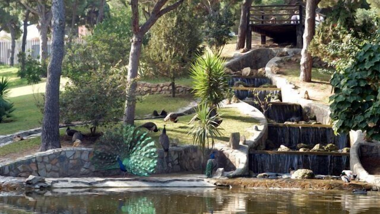 Photo of Outdoor in El Moncayo