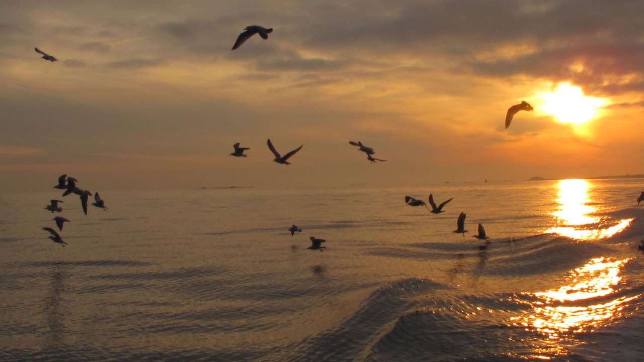 Photo of Others in Quimiac