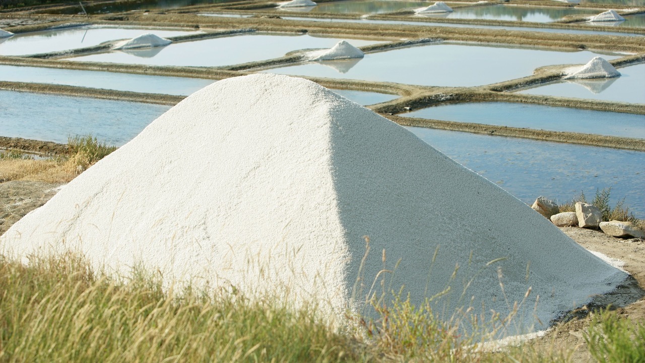 Photo of Others in Quimiac