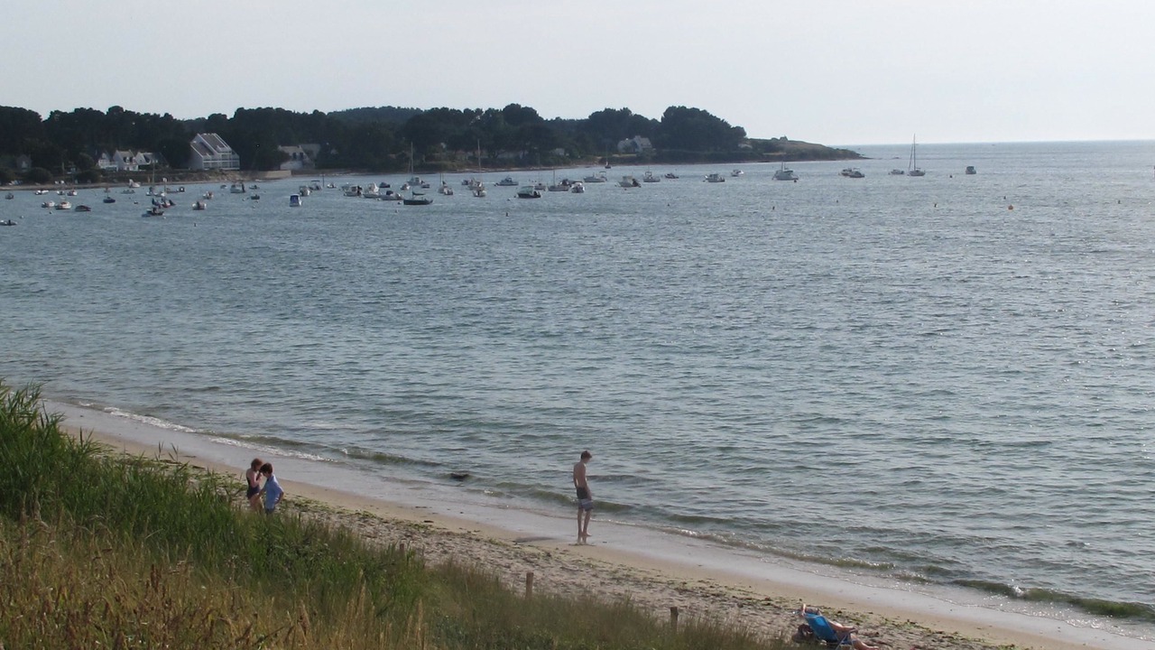 Photo of Others in Quimiac