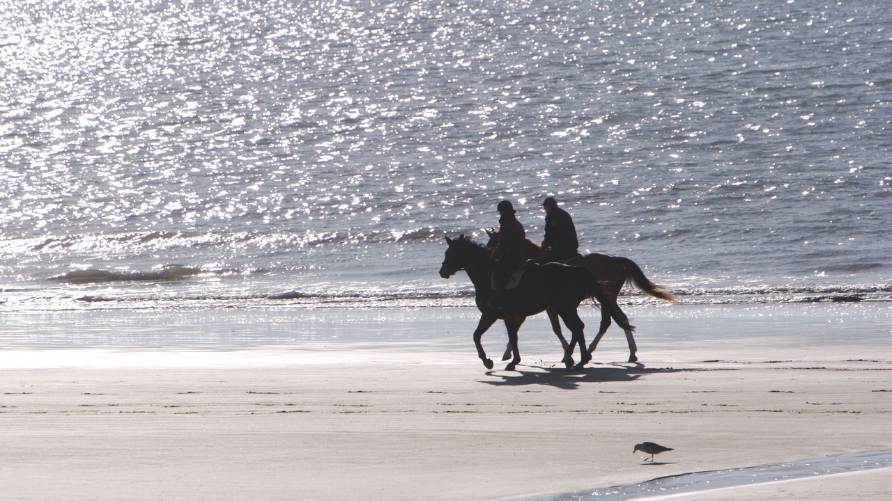 Photo of Others in Quimiac