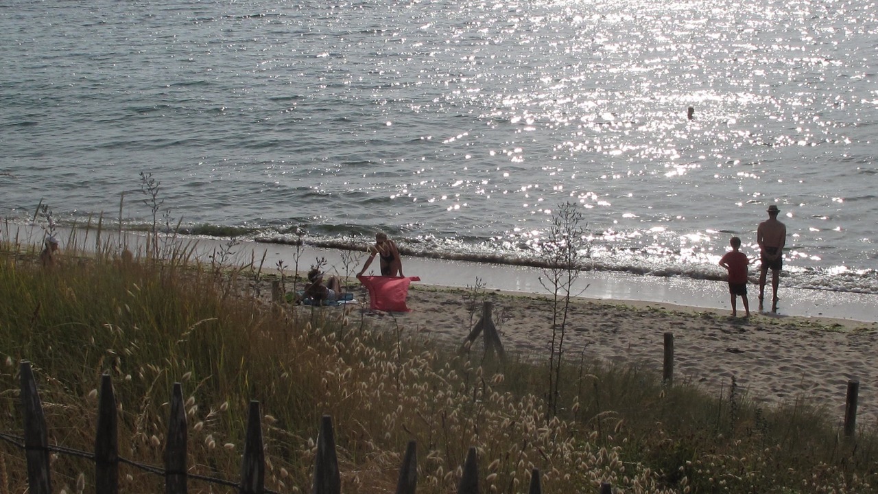 Photo of Others in Quimiac