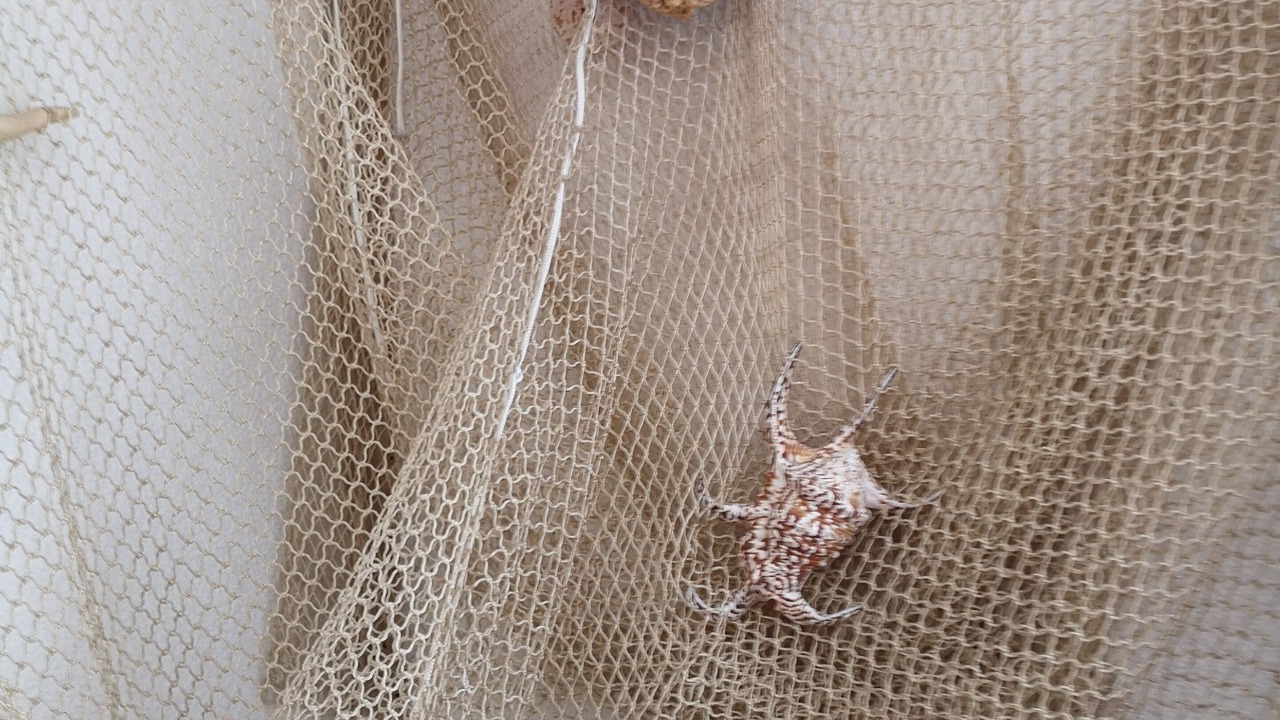 Photo of Others in Le Grau-Du-Roi