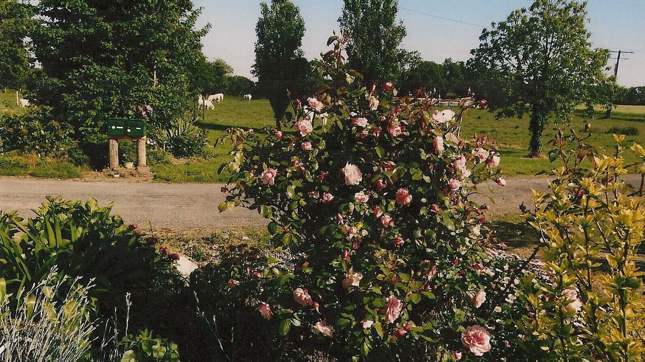 Photo of Outdoor in Marzan