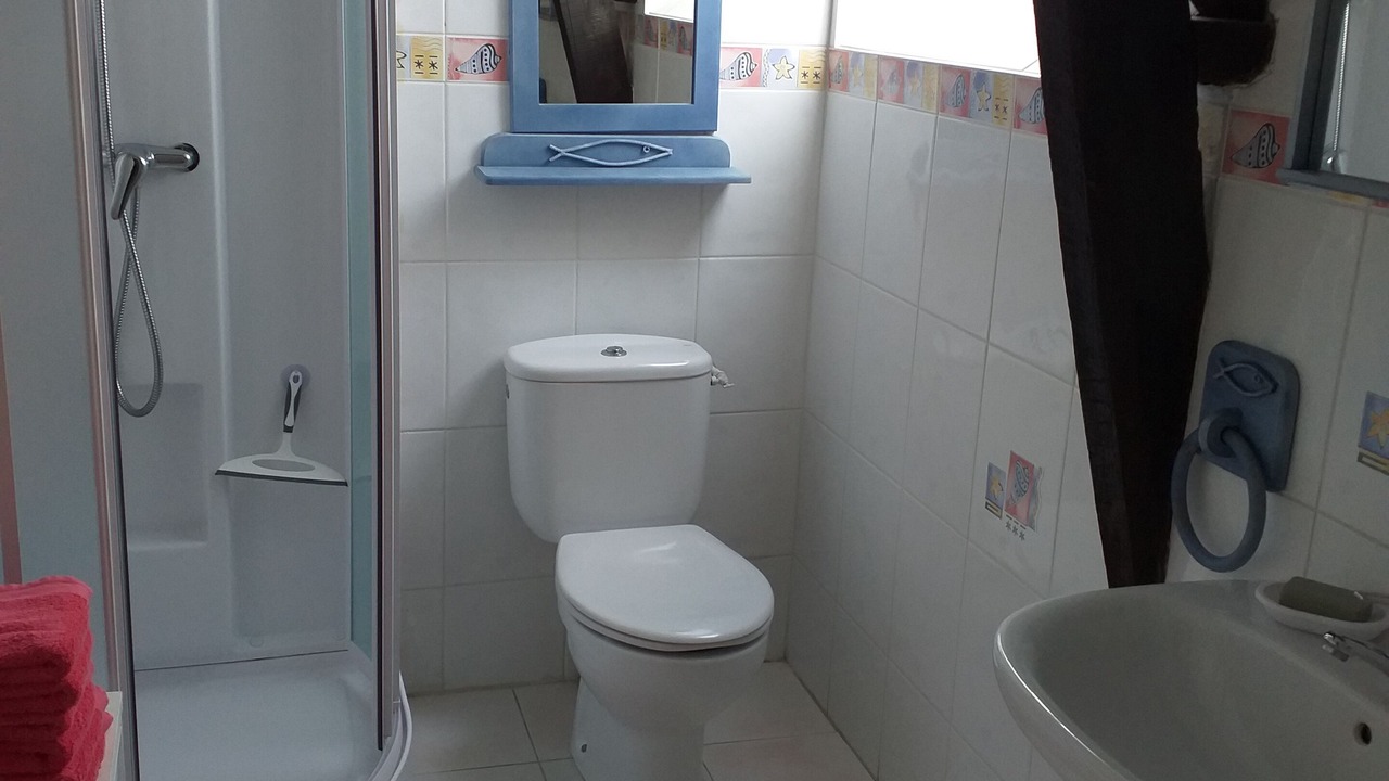 Photo of Bathroom in Saint-Dolay