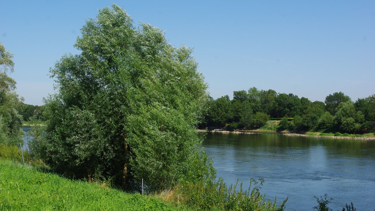Photo of Outdoor in Chalonnes-sur-Loire