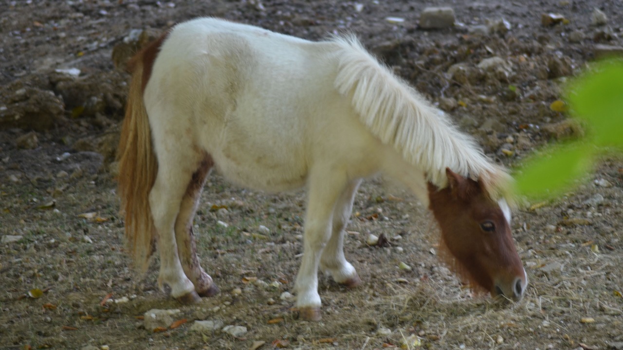 Photo of Outdoor in Saint-Ouen-de-Thouberville
