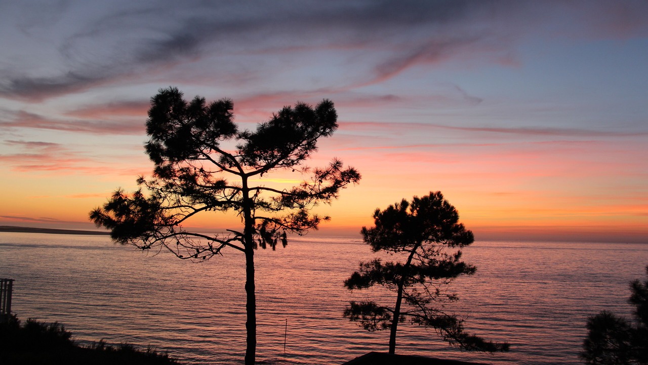 Photo of Others in Pyla-sur-Mer