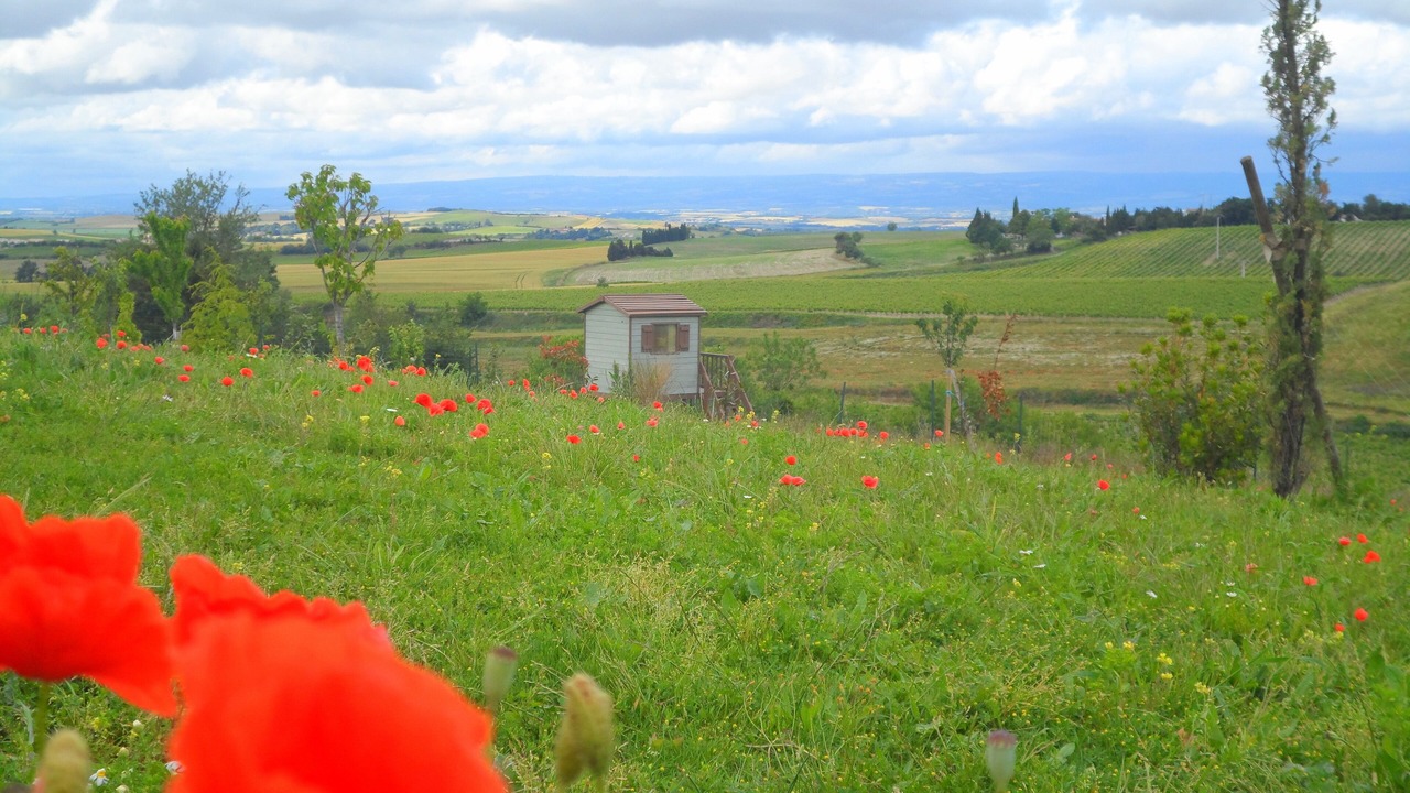 Photo of Outdoor in Cailhavel