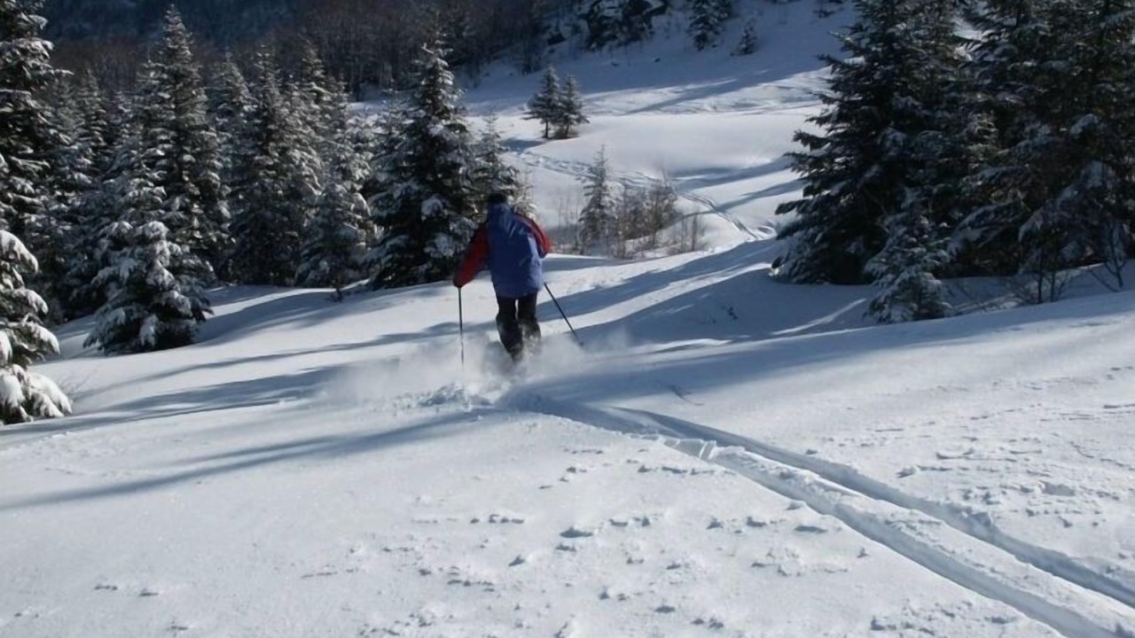 Photo of Others in Cailhavel