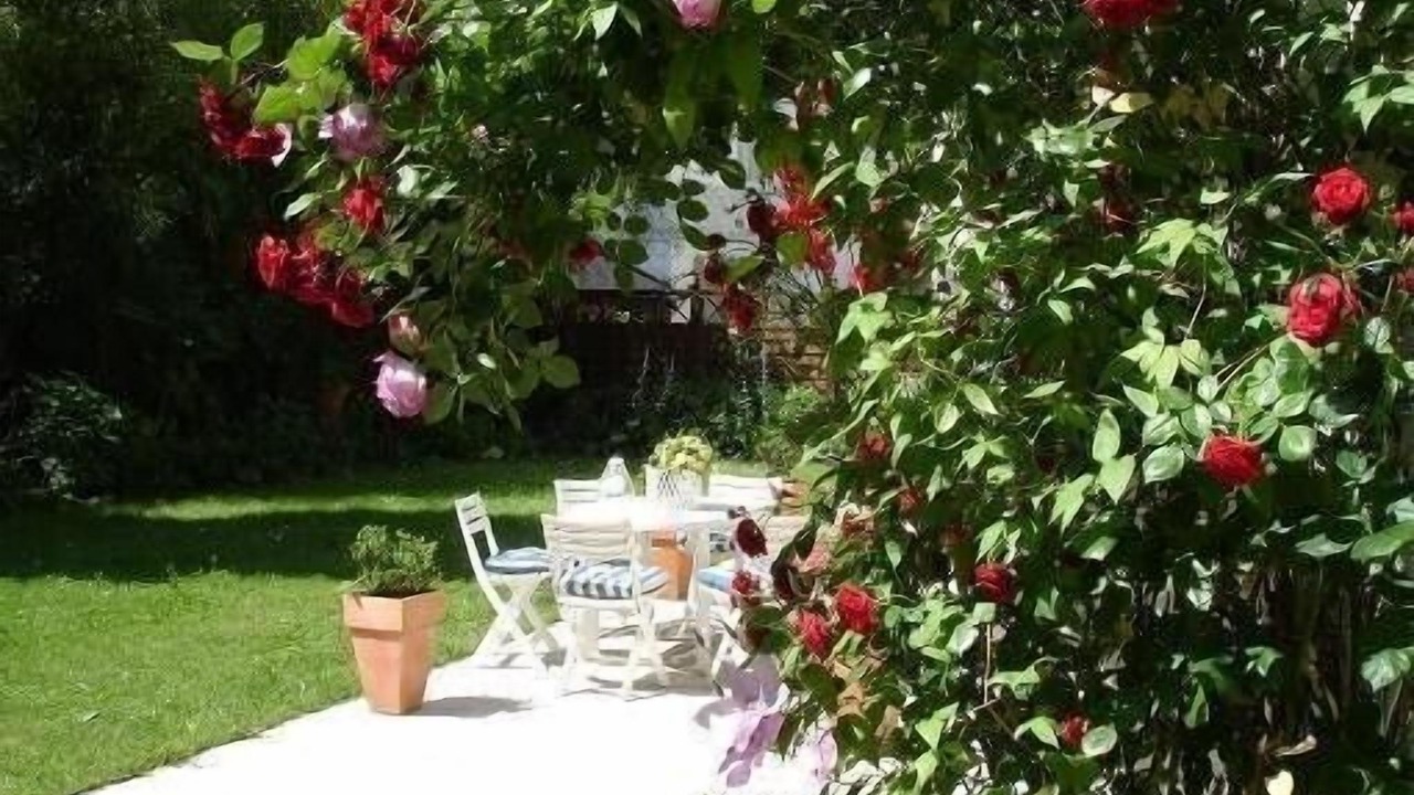 Photo of Outdoor in Bagneres-de-Luchon