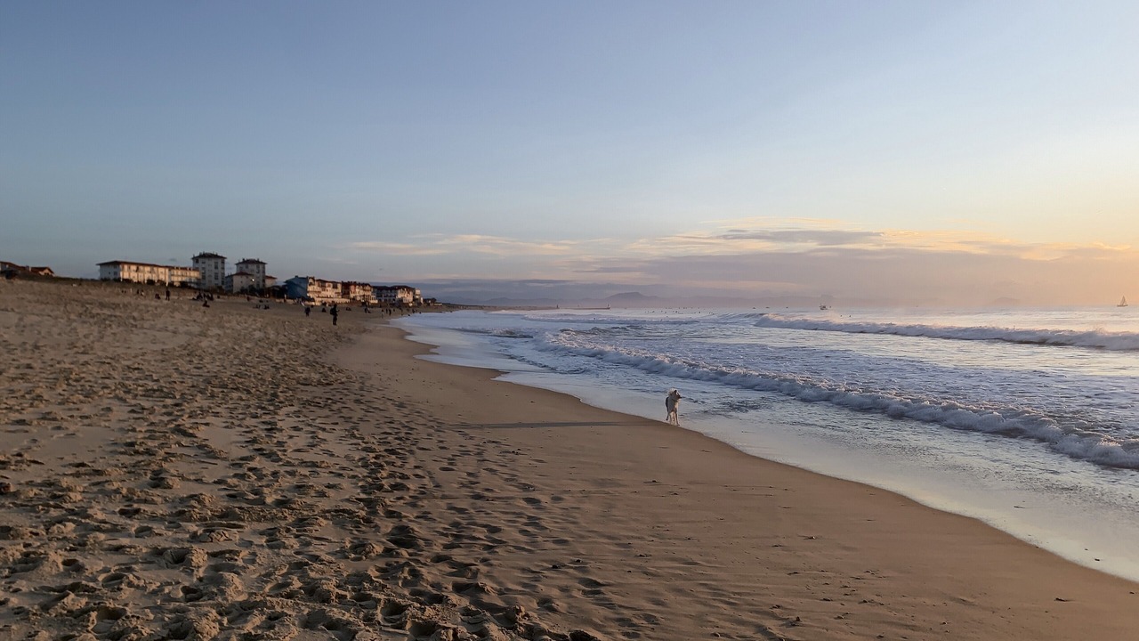 Photo of Others in Soorts-Hossegor