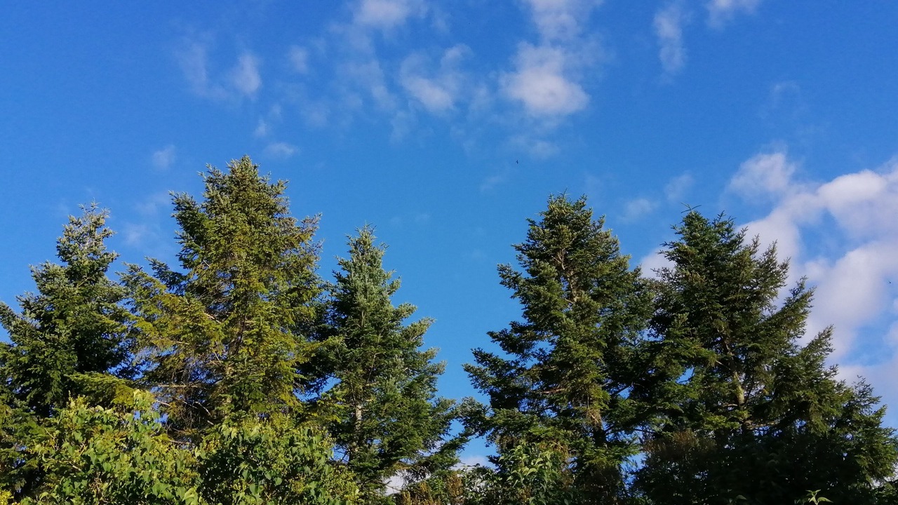 Photo of Others in Berig-Vintrange