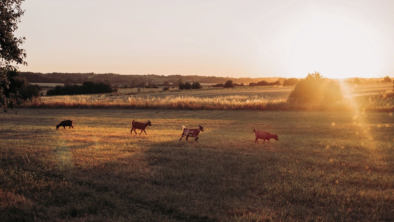 Photo of Others in Berig-Vintrange