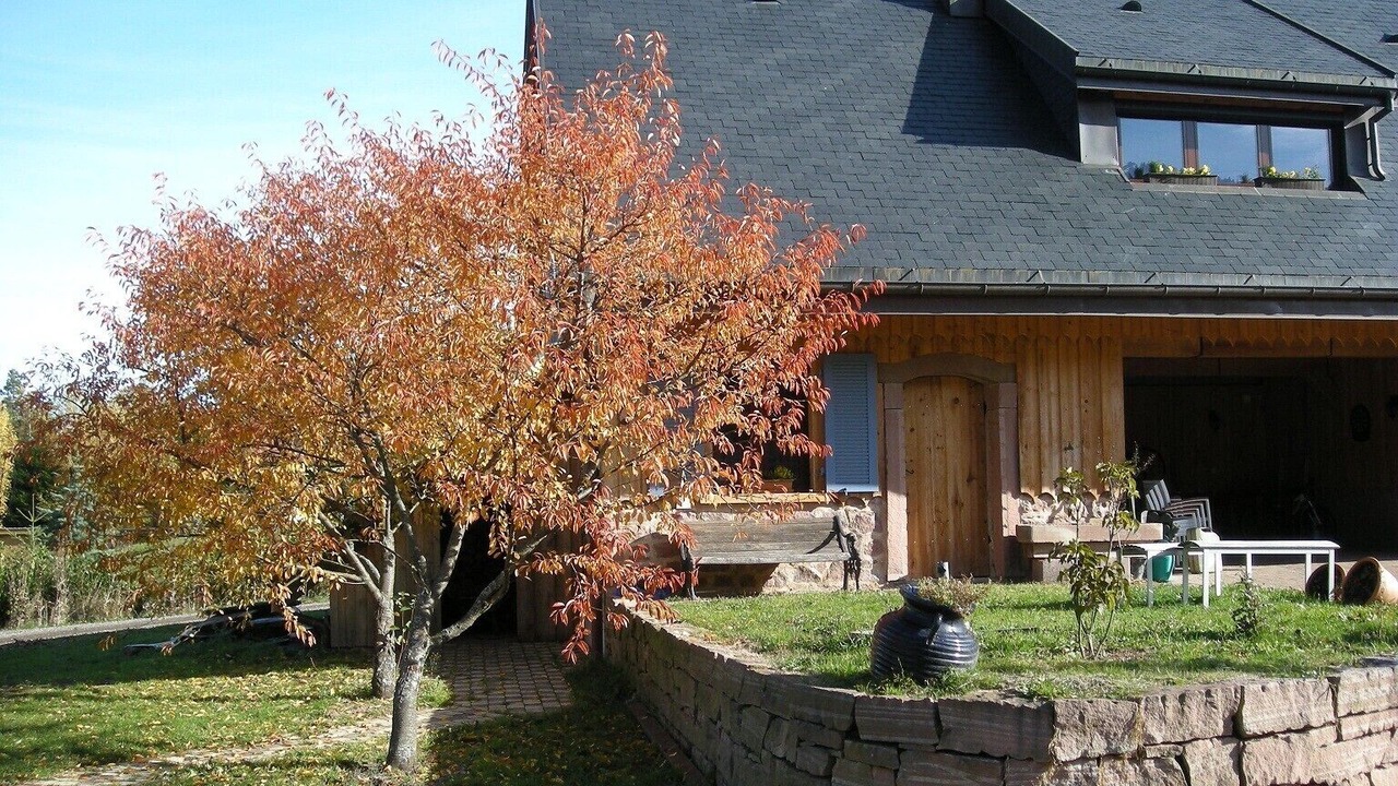 Photo of Outdoor in Labaroche