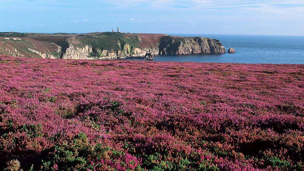 Photo of Others in Megrit