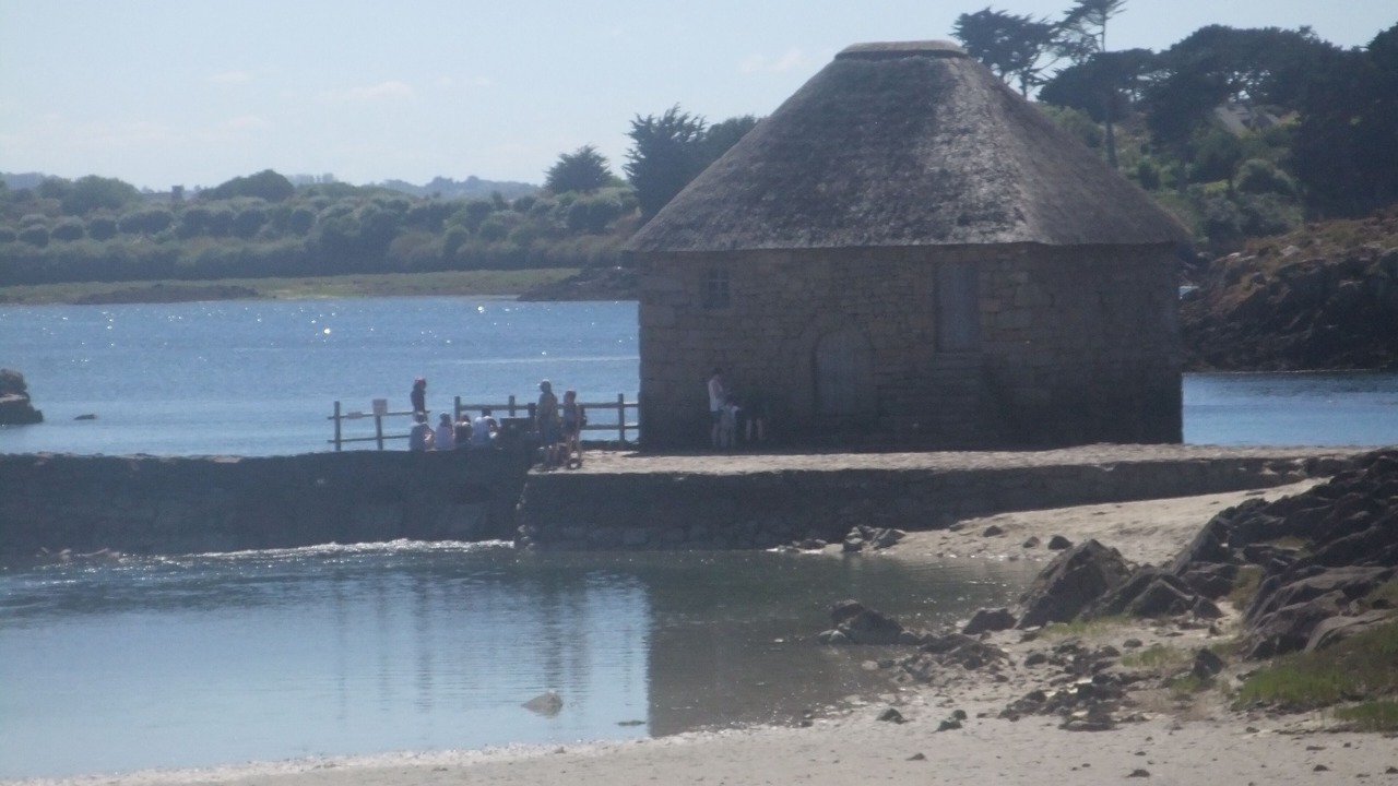 Photo of Others in Megrit