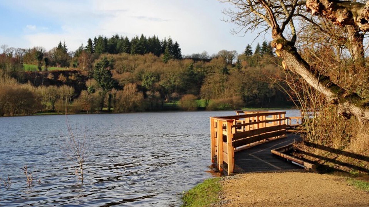 Photo of Others in Megrit