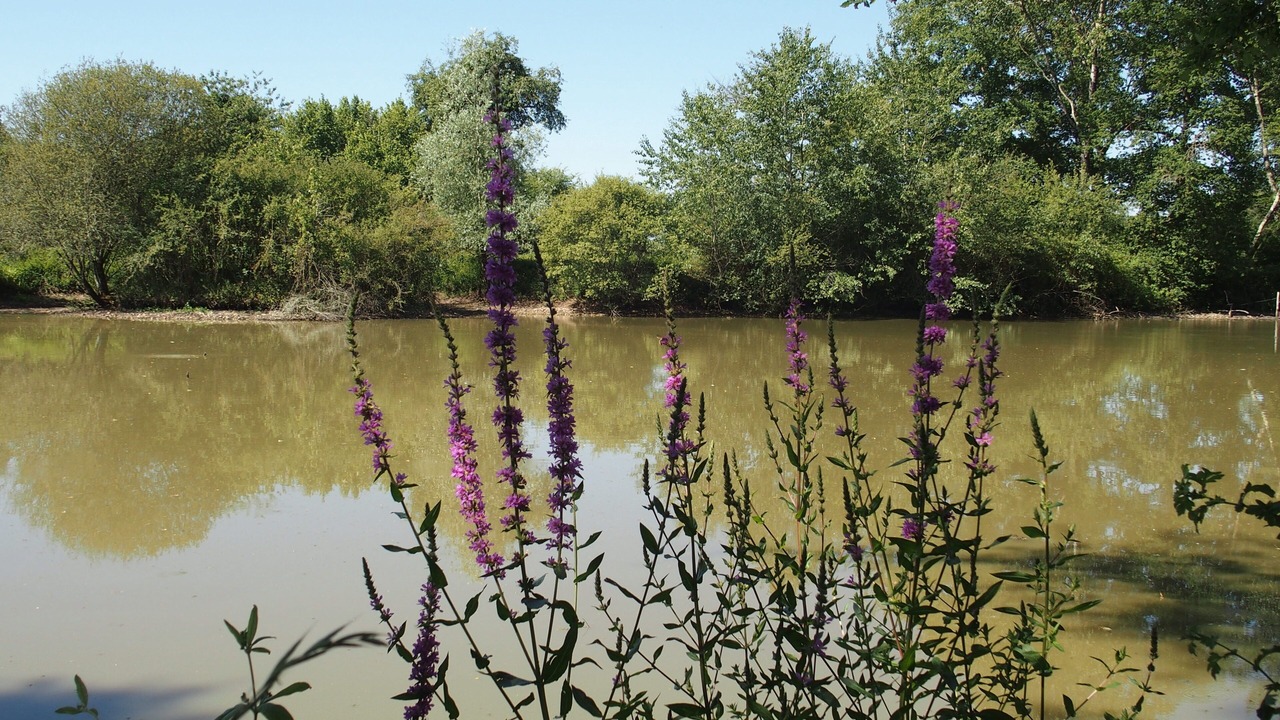 Photo of Outdoor in Chaumont-sur-Loire