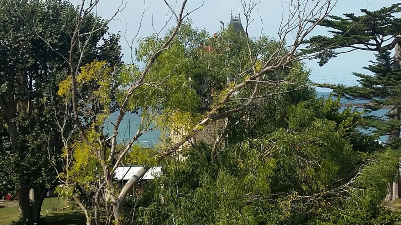 Photo of Others in Rotheneuf-Le Pont