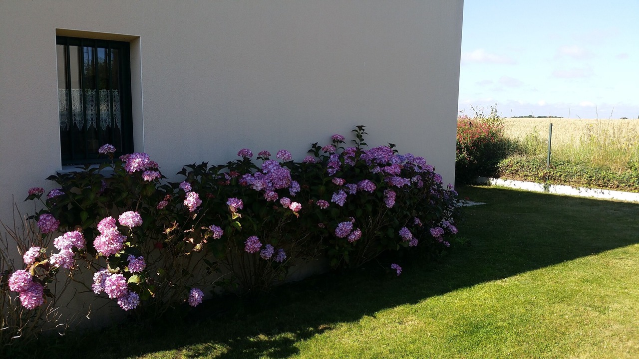 Photo of Outdoor in Saint-Coulomb