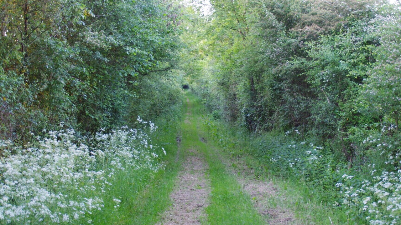 Photo of Outdoor in La Foret-sur-Sevre