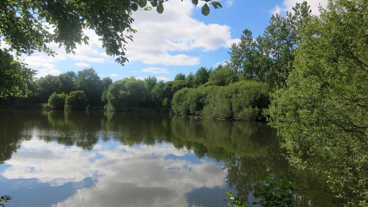 Photo of Others in La Foret-sur-Sevre