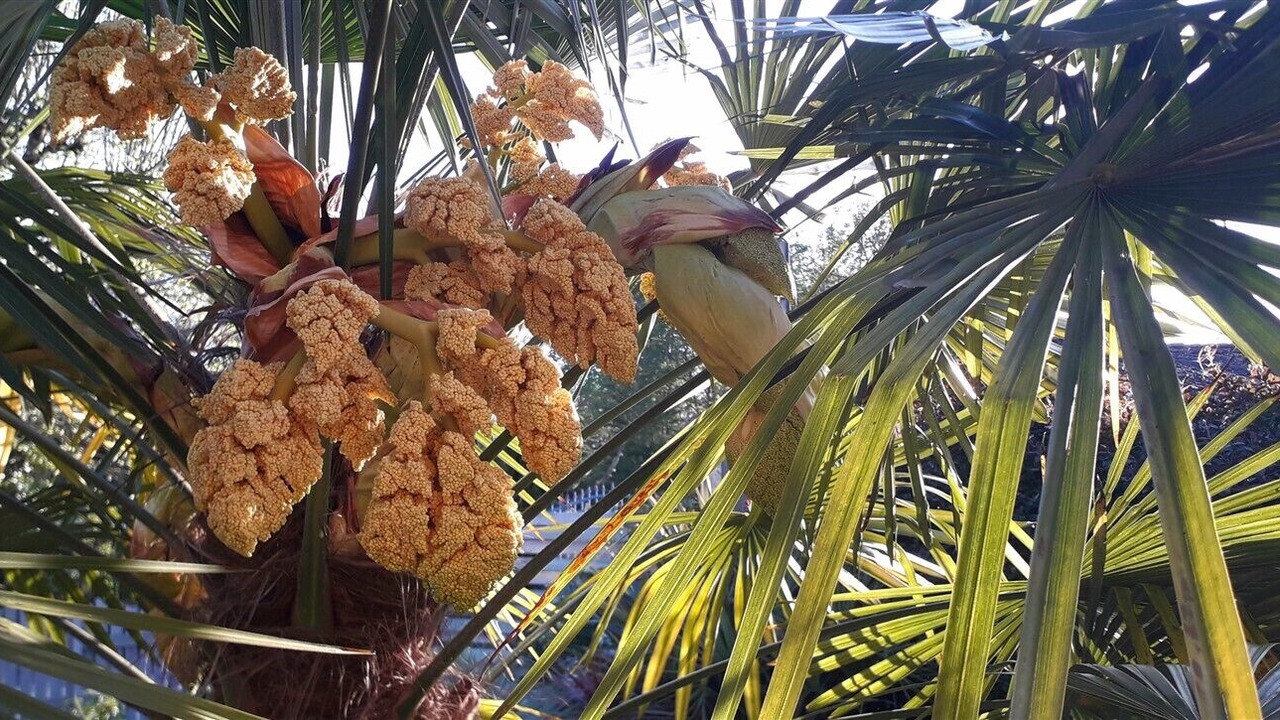 Photo of Outdoor in Fontenille-Saint-Martin-d'Entraigues