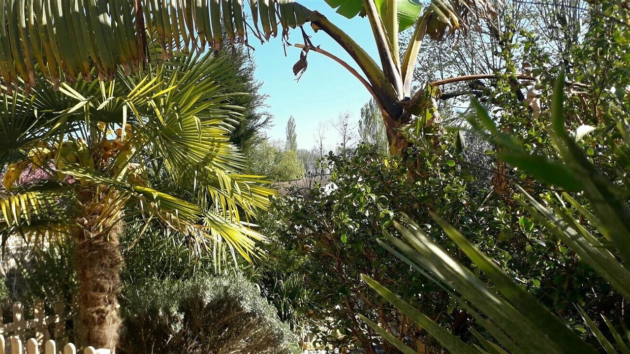 Photo of Outdoor in Fontenille-Saint-Martin-d'Entraigues