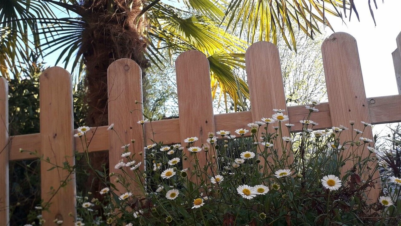 Photo of Outdoor in Fontenille-Saint-Martin-d'Entraigues