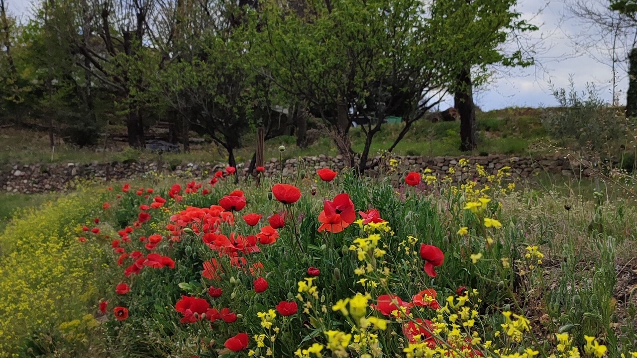 Photo of Outdoor in Saint-Jean-du-Gard