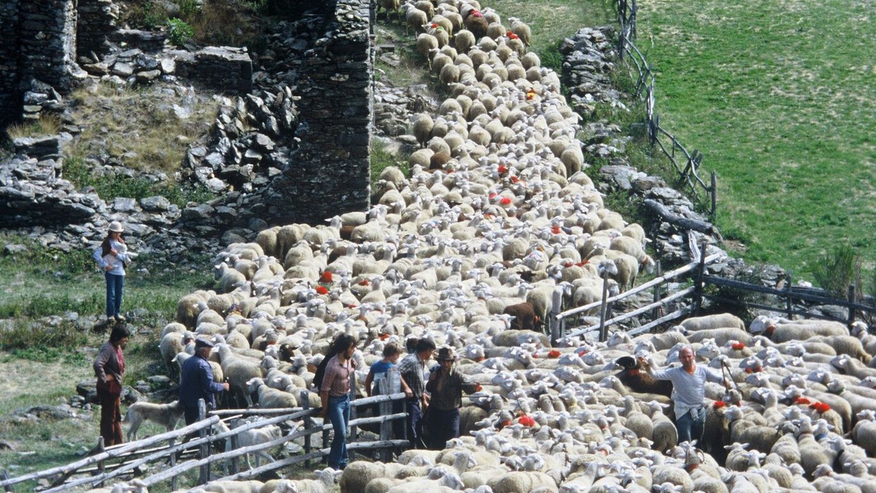 Photo of Others in Saint-Jean-du-Gard