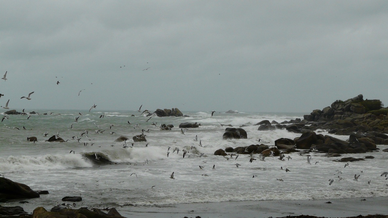 Photo of Others in Cleder