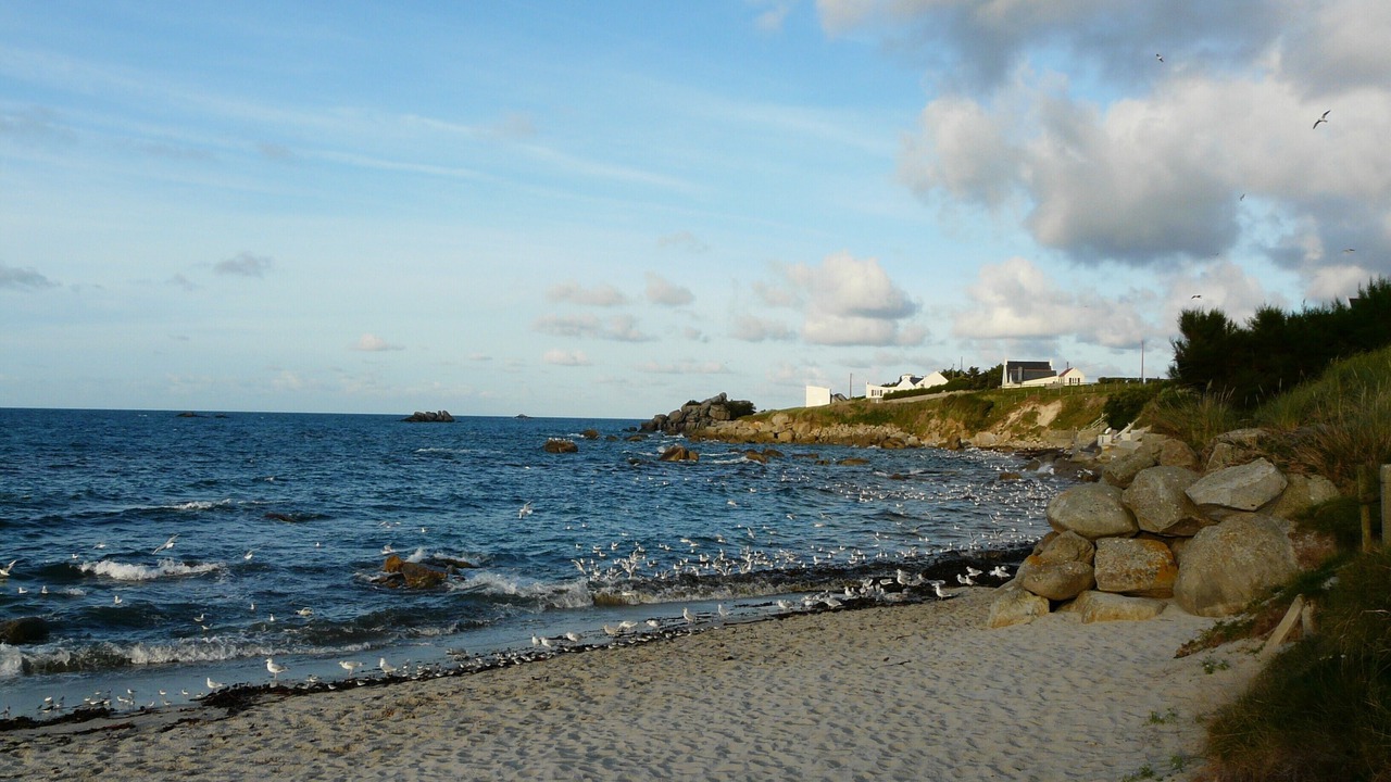 Photo of Others in Cleder