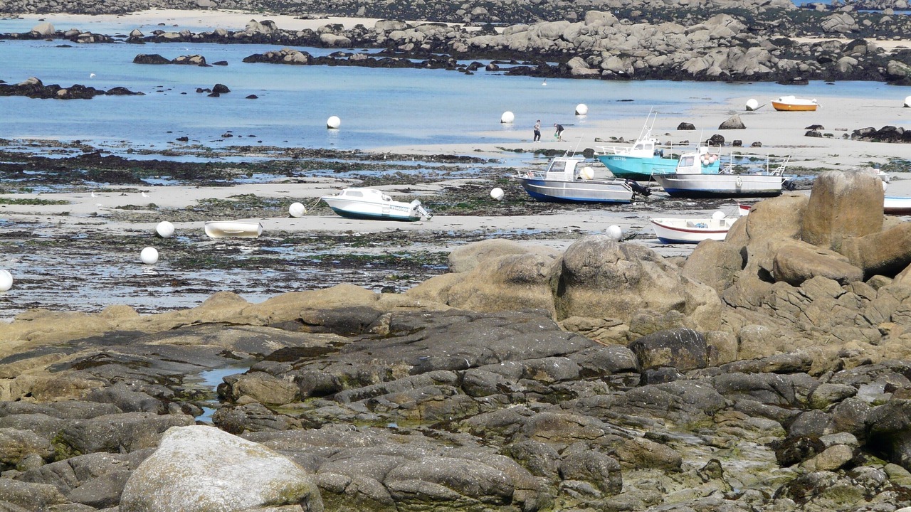 Photo of Others in Cleder