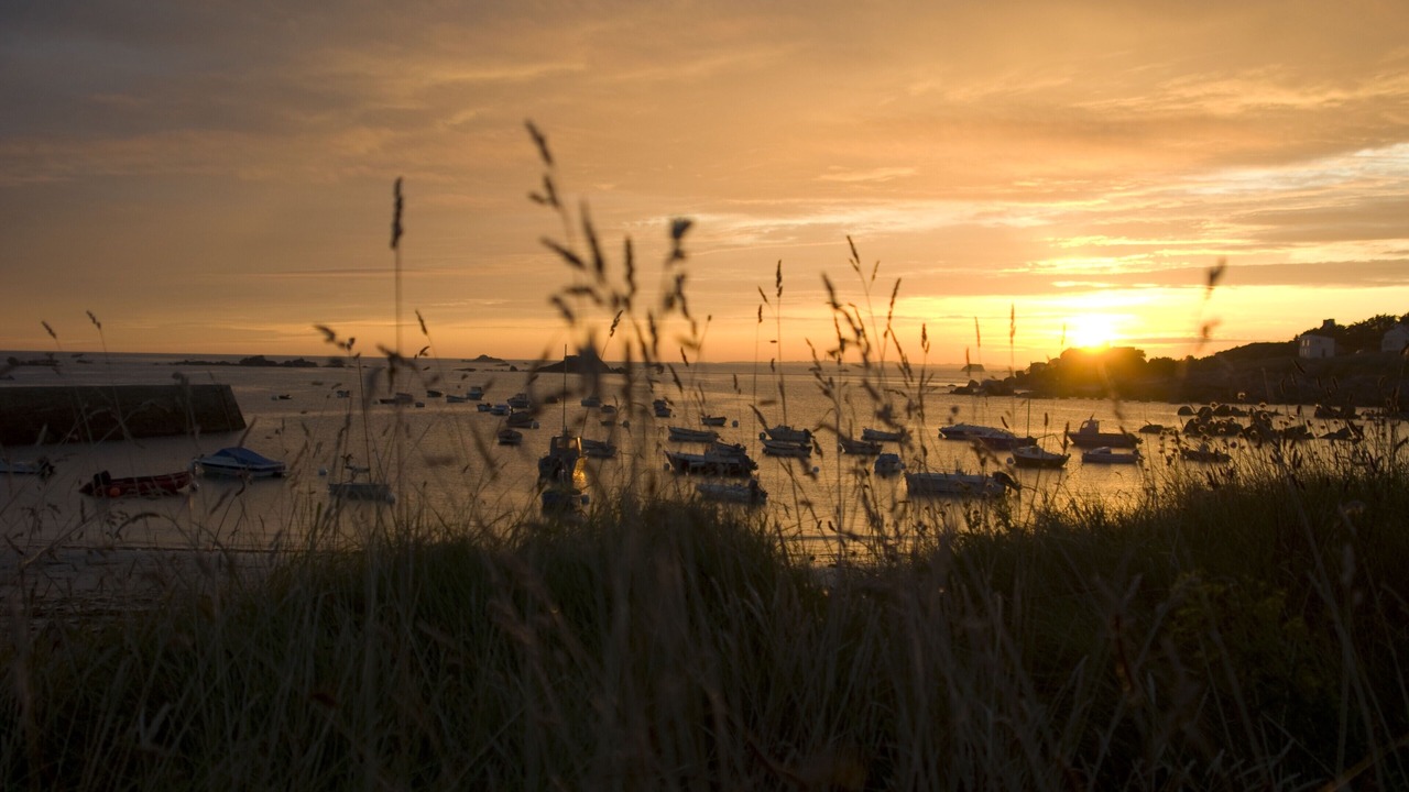 Photo of Others in Cleder