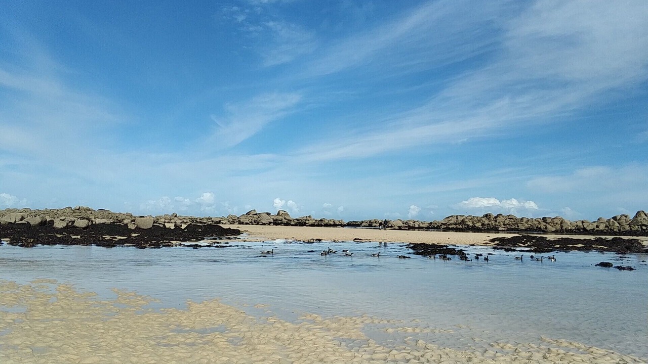 Photo of Others in Cleder